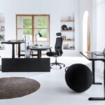 neu ergoni